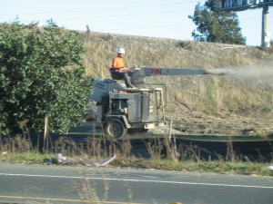 This guy was shooting chopped hay all over an open space by the freeway. We found this amusing.