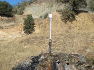 This geyser reminds me of something.