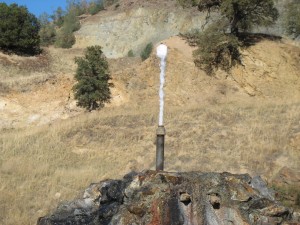 This geyser reminds me of something.